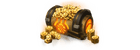 Riot Point